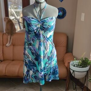 Patagonia dress / skirt